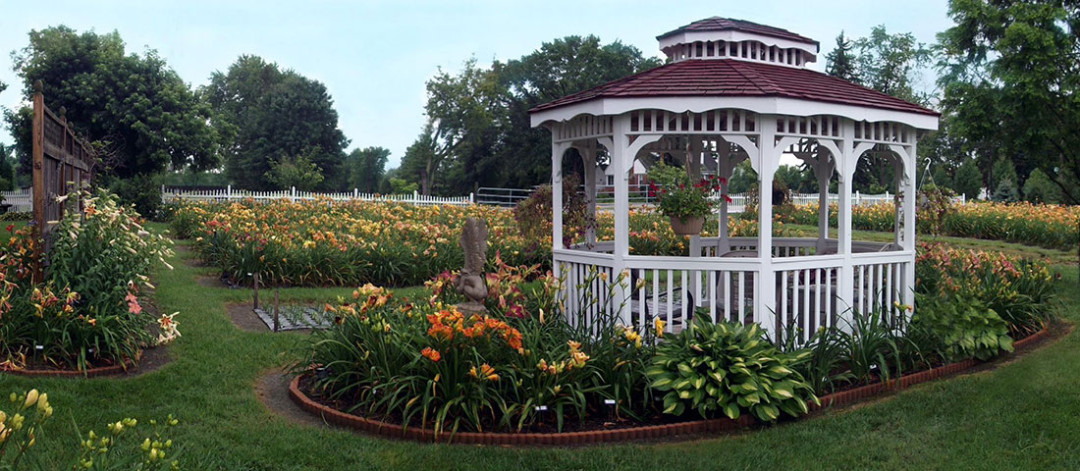 American Hemerocallis Society (AHS) Display Gardens