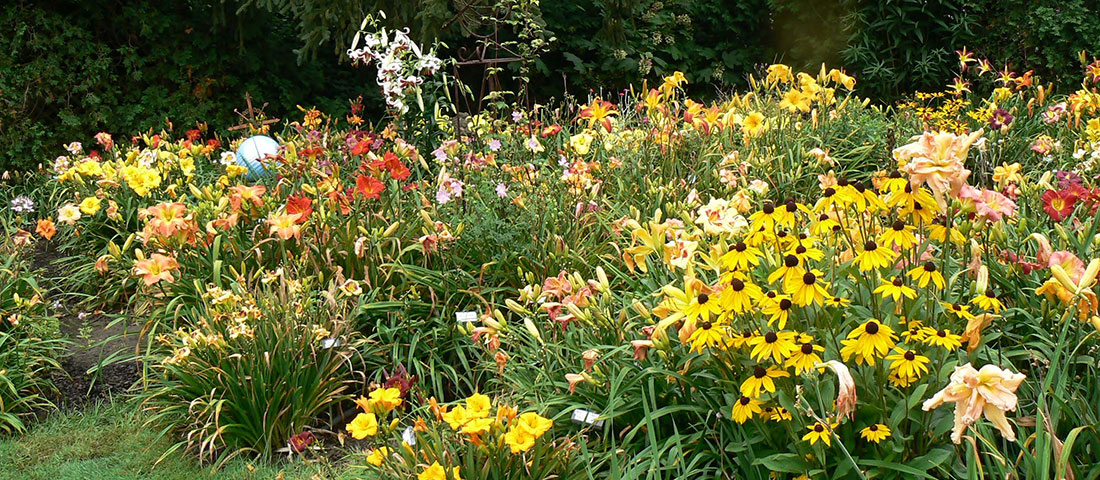 American Hemerocallis Society (AHS) Display Gardens