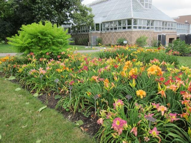Ohio Hybridizers' Garden at Franklin Park Conservatory